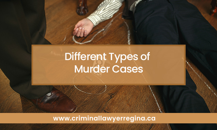 Different Types of Murder Cases